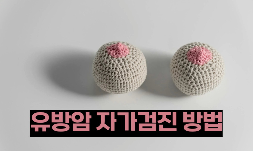 유방암 발견율 90% 높이는 5분 자가검진 완벽가이드