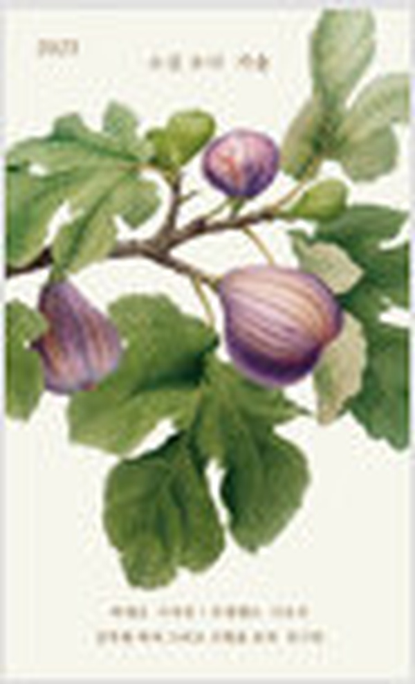 소설 보다 | 가을 2025 리뷰 – 새로운 시대가 온다