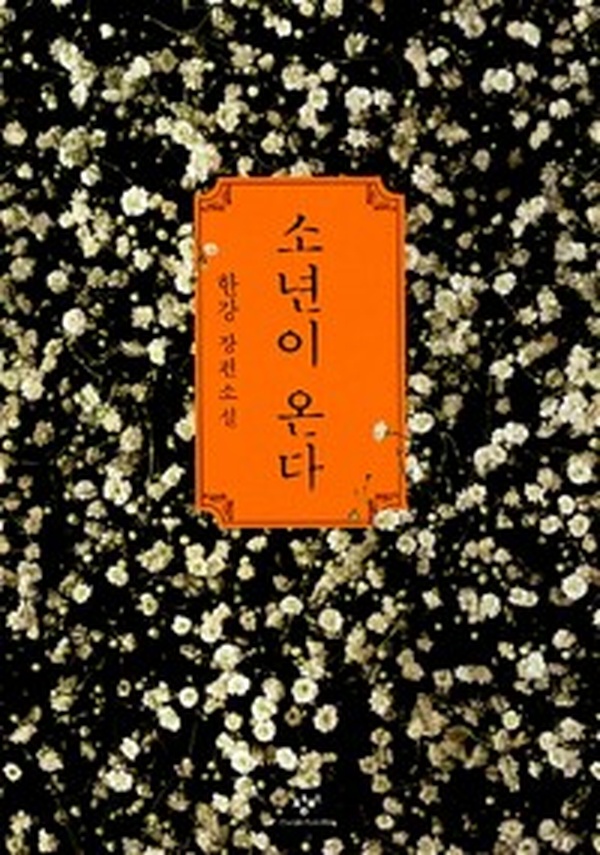 2024 노벨문학상의 빛, ‘소년이 온다’ 어떻게 읽었나요? | 충격적인 작품 리뷰