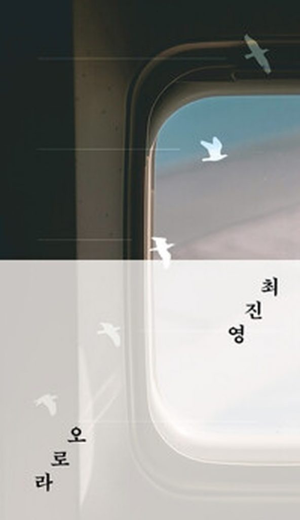 [책 리뷰] 숨막히는 긴장감 가득한 소설 | 오로라 (리커버) – 들키면 어떻게 되나요? | 이것이 진정한 서스펜스다!